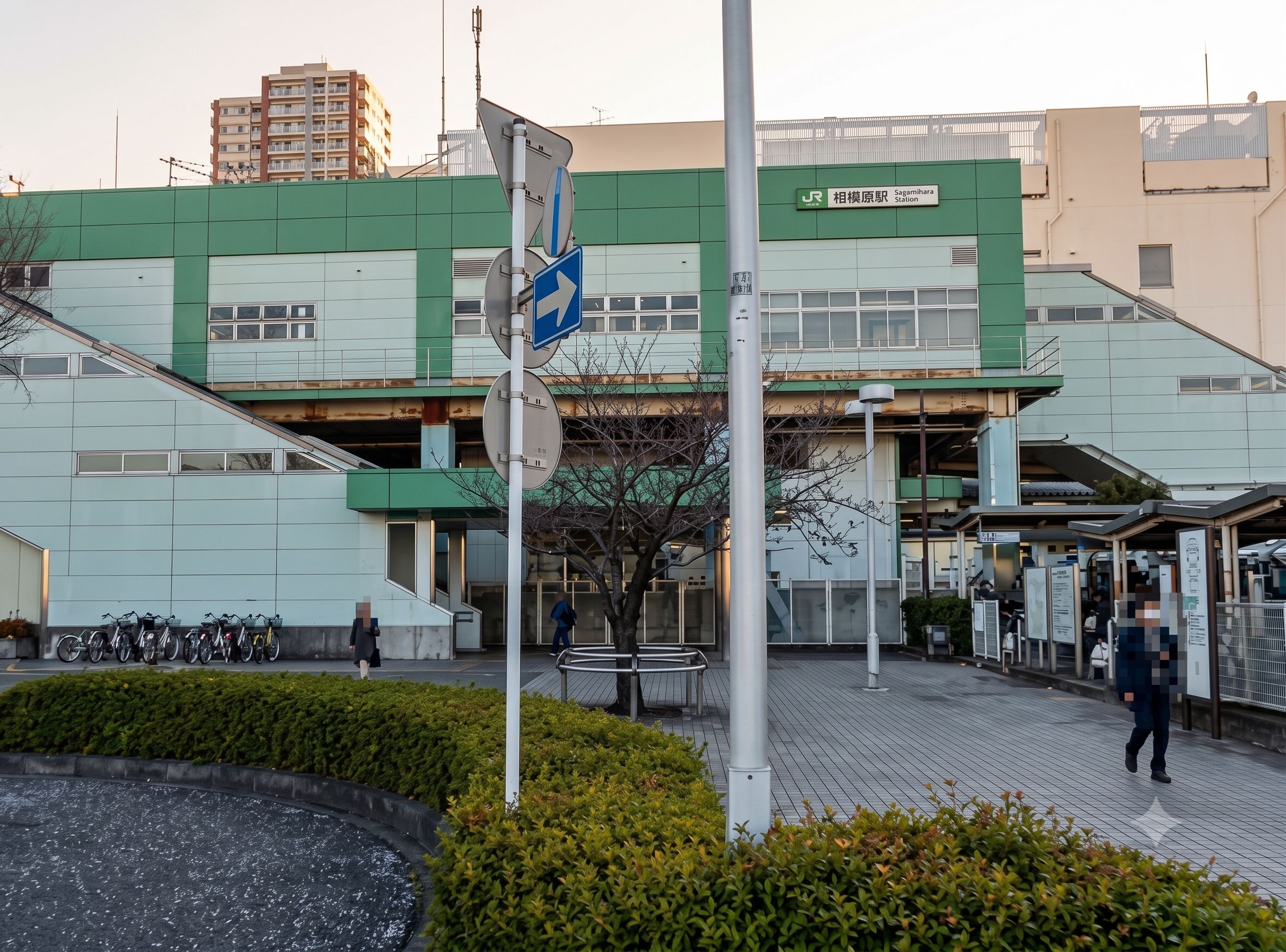 sagamihara-deriheru-osusume