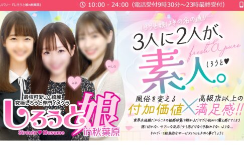 shirotomusume-akihabara