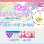 pururinkuesuto ‣ 風俗体験談・評判・口コミなら|デリヘル嬢情報局 pururinkuesuto