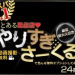 yarisugisakuru-shinjuku