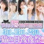 yanchanakoneko-kobe-sannomiya
