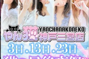 yanchanakoneko-kobe-sannomiya