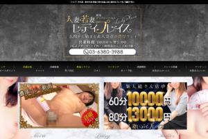 人妻・若妻レディプレイス