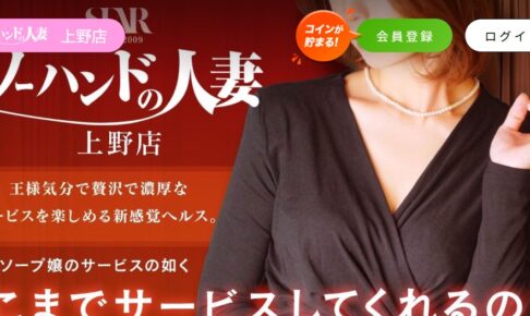 nohandonohitozuma-ueno