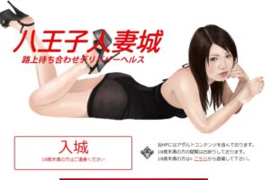 hachiojihitozumajo