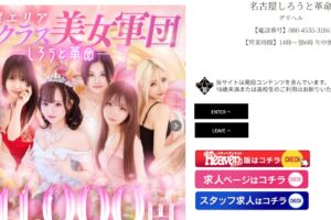 nagoya-shirotokakumei