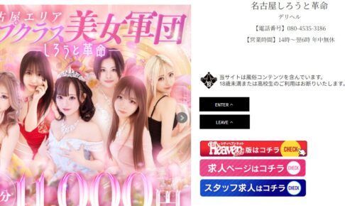 nagoya-shirotokakumei