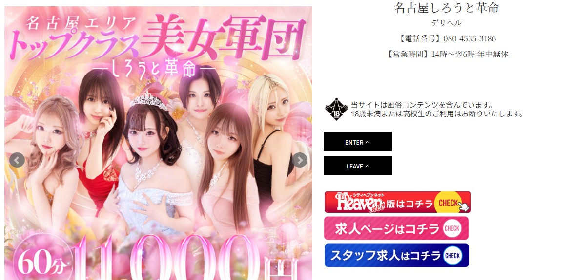 nagoya-shirotokakumei