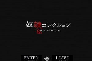 doreikorekushon nihombashi