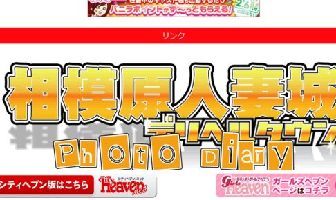 sagamihara-hitozumajo
