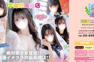 akihabara-kosupuregakuen