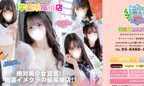 akihabara-kosupuregakuen