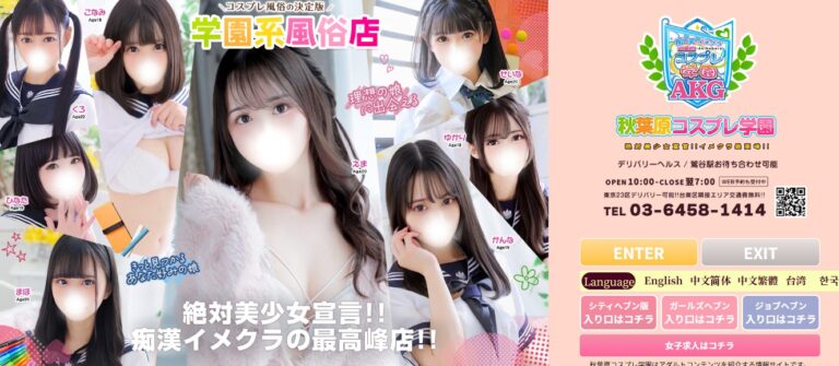 akihabara-kosupuregakuen